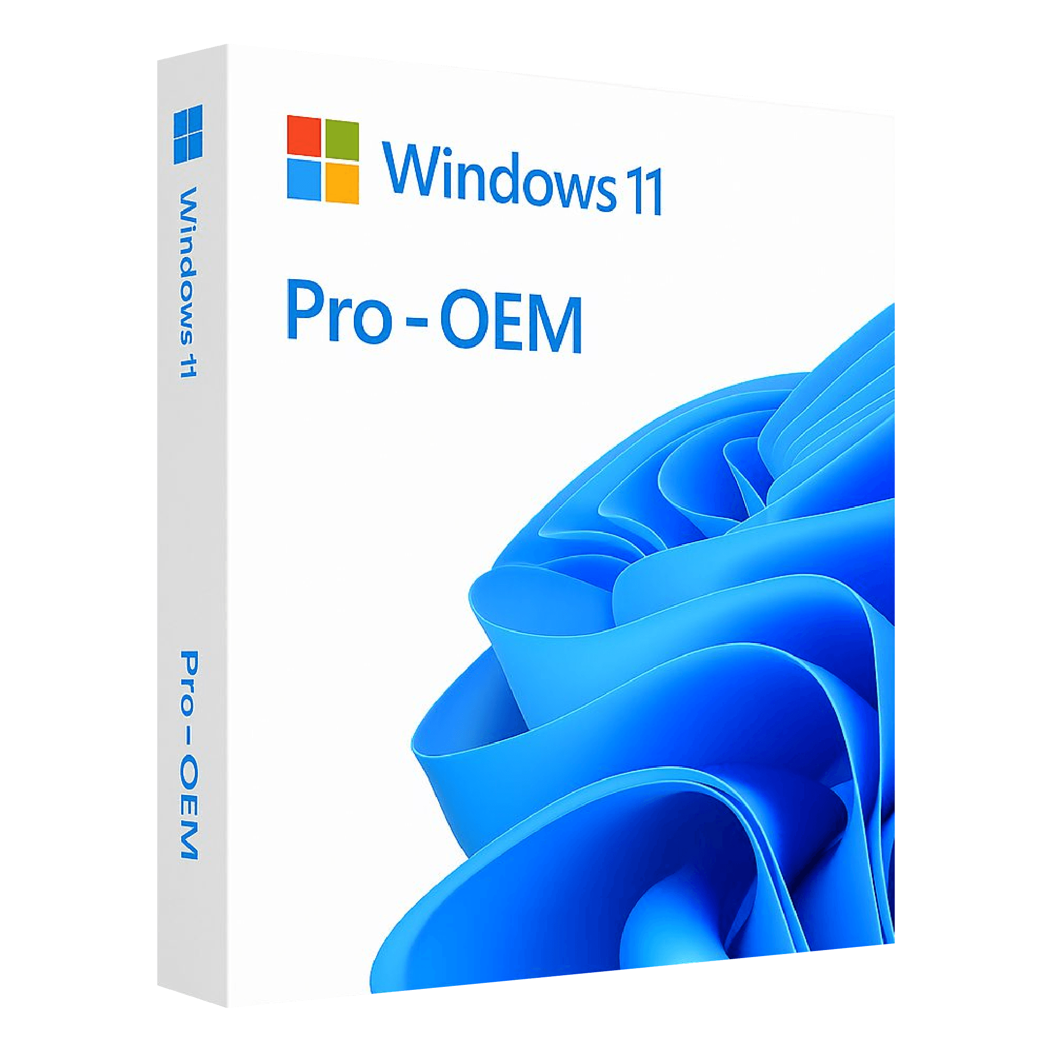 Windows 11 Professional
